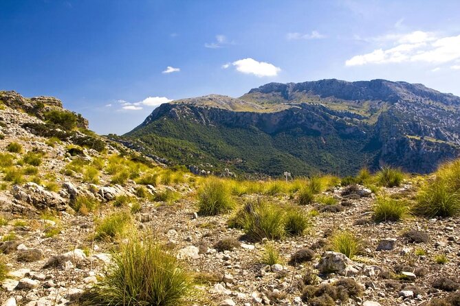Hiking Private Tour in Pollensa - Choosing the right Mallorca hike