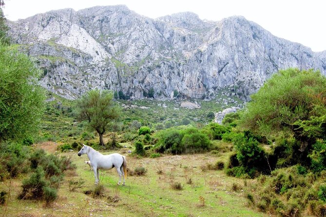 Hiking Private Tour in Pollensa - El Fumat and Formentor