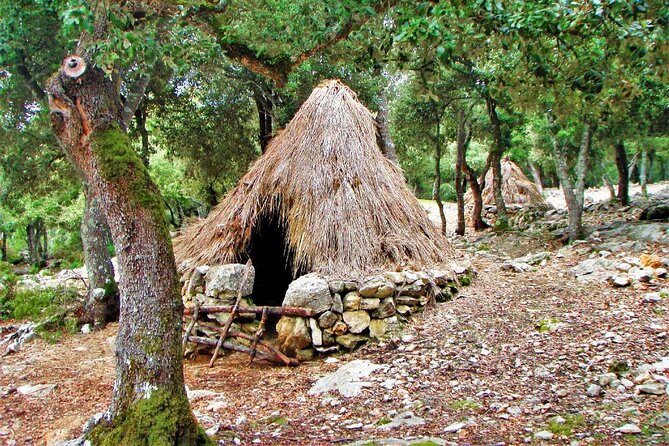 Hiking Private Tour in Pollensa - The Old Path to Lluc