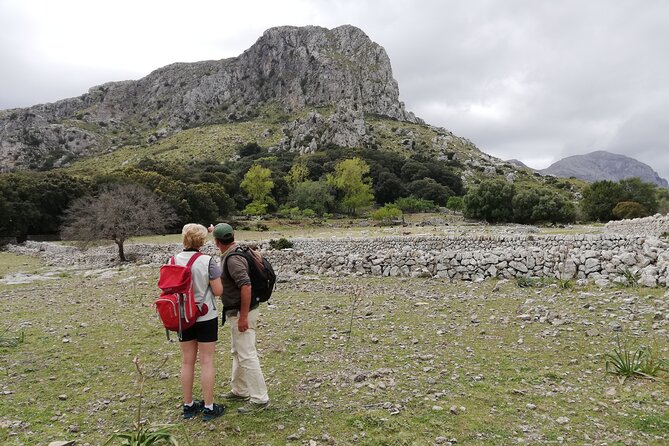 Hiking Private Tour in Pollensa - Alcúdia and the north coast