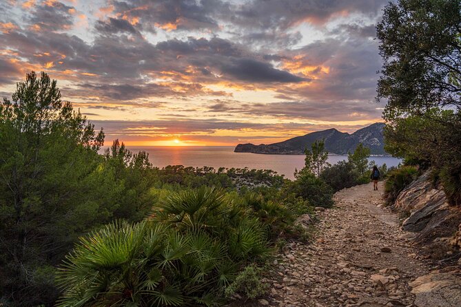 Hiking Tour into the sunset - Port Andratx to Sant Elm - Key points about the Port d’Andratx sunset hike