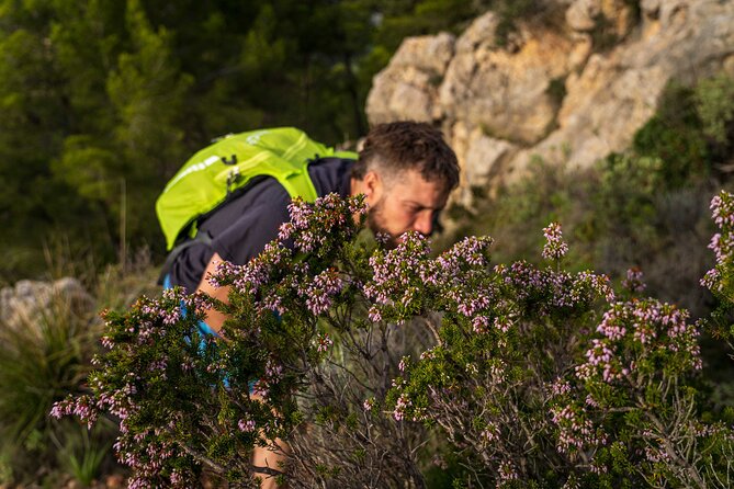 Hiking Tour into the sunset - Port Andratx to Sant Elm - Why the sunset timing adds real value