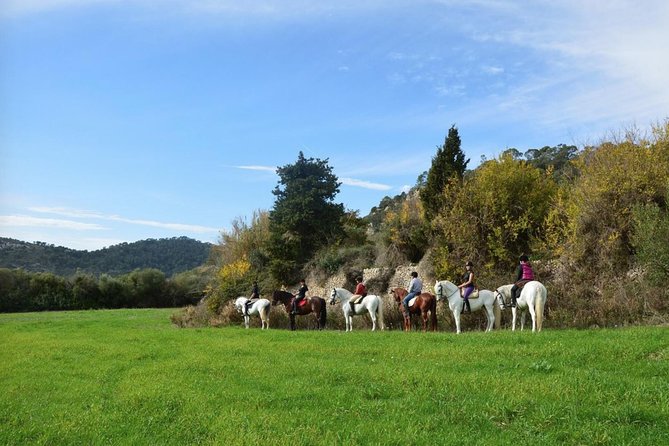 Horseback Riding in Randa Valleys, Mallorca, Spain - Key points to know before booking