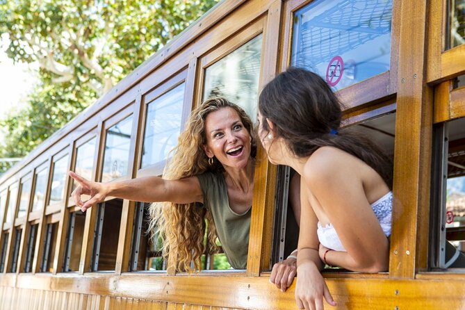 Island Tour with Train Tram Boat and Bus from Cala Millor - What $131.06 buys you