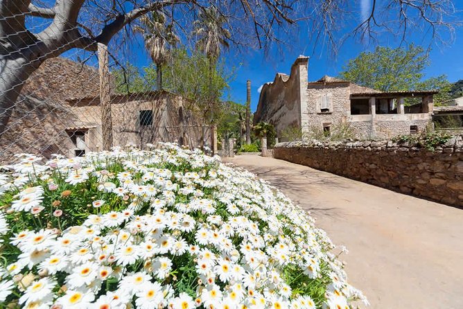Jardines de Alfabia Tickets - A Calm Visit for Couples and Families