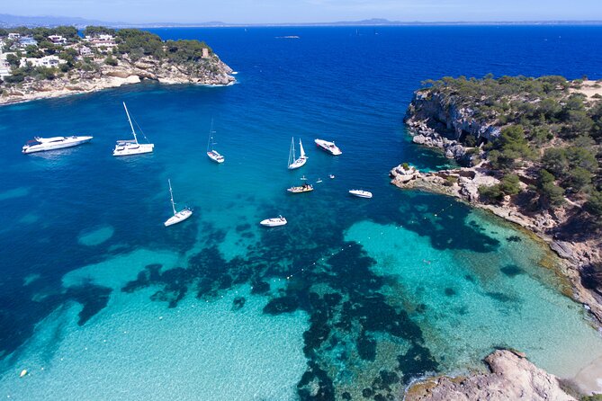 Jet Boat Excursion in South West Coast of Mallorca - Is $84.66 good value?
