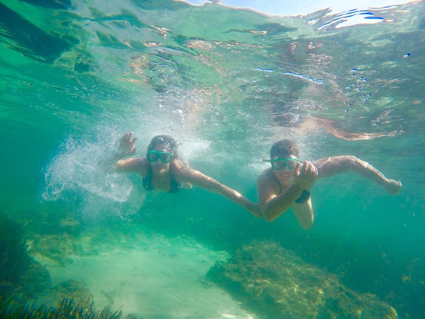 Kayak Tour Bay of Palma - Key points to know before you book