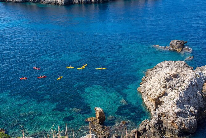 Kayak Tour to Malgrat's Islands from Santa Ponsa - Caves, coves, and the best stops