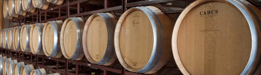 Llucmajor: Bodegas Bordoy Wine Tour - Starting at the Production Room