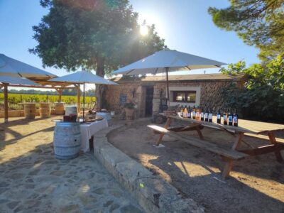 Llucmajor: Bodegas Bordoy Wine Tour