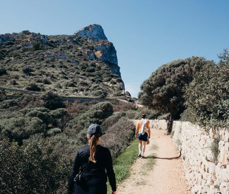 Majorca: Visit the Natural Park of Dragonera Island by boat - Leaving from the Sant Elm pier