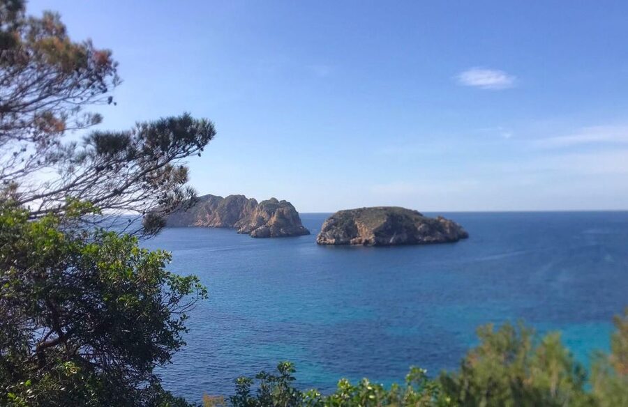 Mallorca: 2-Hour Coastline & Malgrat Islands Catamaran Tour - The 20-minute secret swimming stop