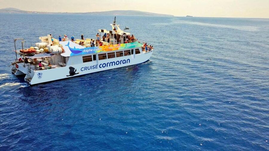 Mallorca: 2-Hour Dolphin Watching Cruise & Glass-Bottom Boat - The best place to watch from the boat