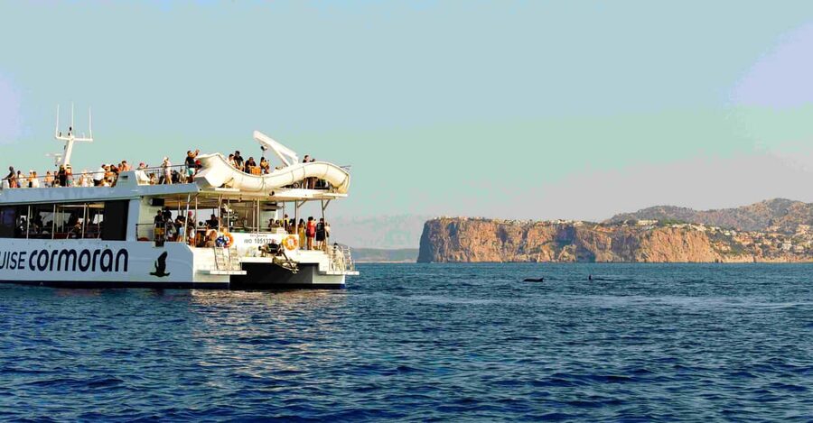 Mallorca: 2-Hour Dolphin Watching Cruise & Glass-Bottom Boat - Food, drinks, and comfort on board