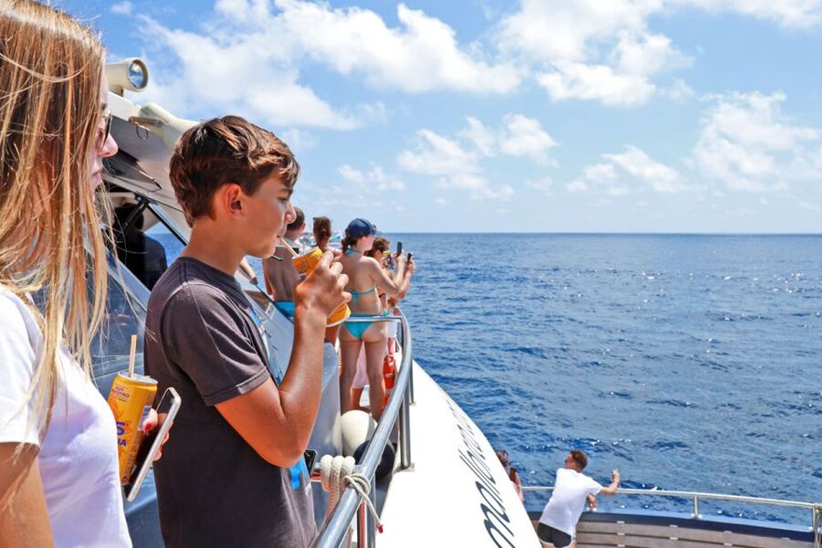 Mallorca: 2-Hour Dolphin Watching Cruise & Glass-Bottom Boat - Who will enjoy this cruise most?