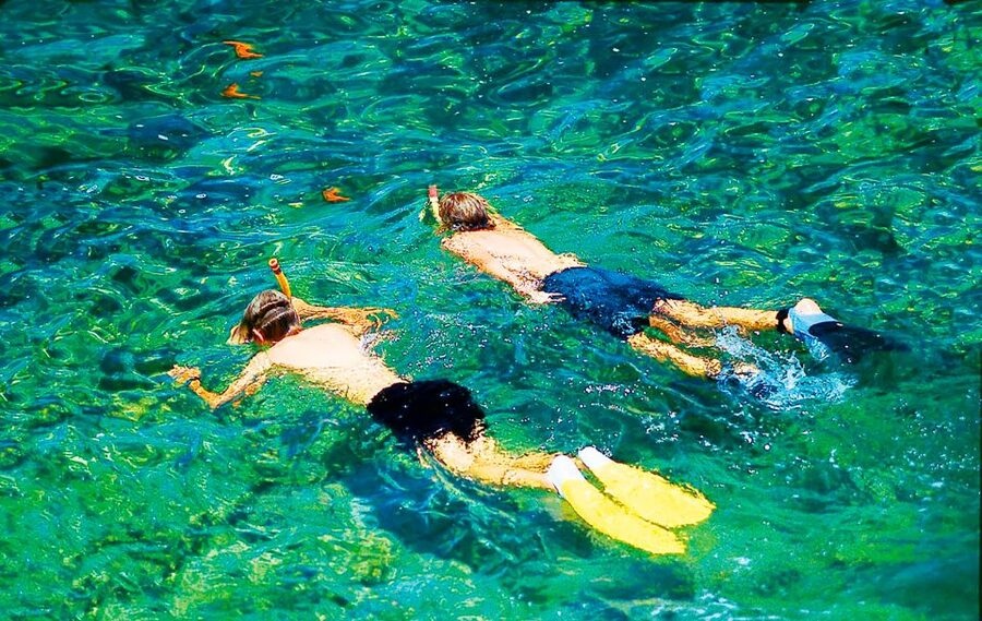 Mallorca: 3.5-Hour Boat Trip with Swimming and Snorkeling - What you will actually see beneath the boat