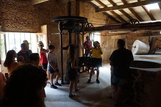 Mallorca: 5-hours Hidden Marvels Tour - Why this tour feels different from a standard Mallorca outing