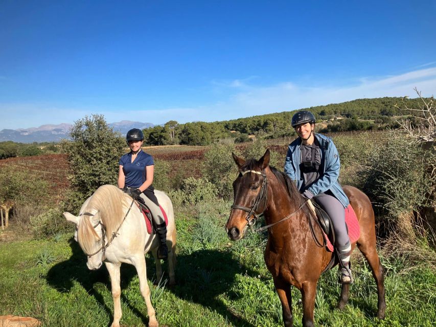 Mallorca: Authentic Horseback Ride in Rural Mallorca - Key points about the four-hour ride
