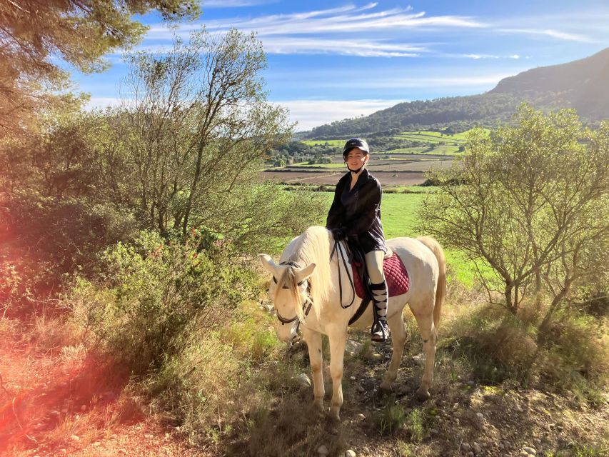 Mallorca: Authentic Horseback Ride in Rural Mallorca - Cancellation, languages, and group size