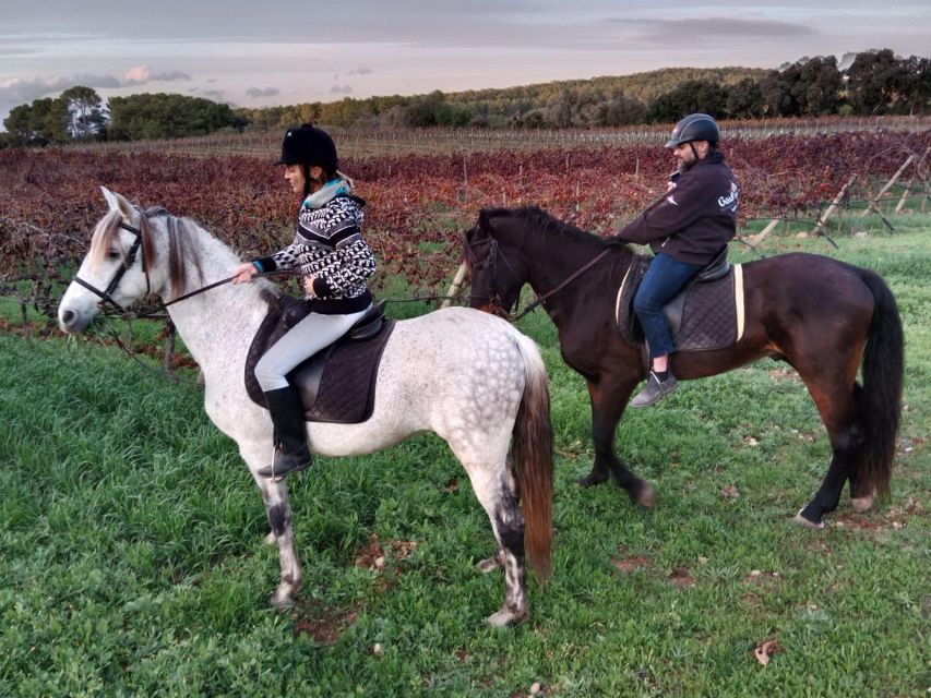 Mallorca: Authentic Horseback Ride in Rural Mallorca - The arena session builds confidence before the countryside