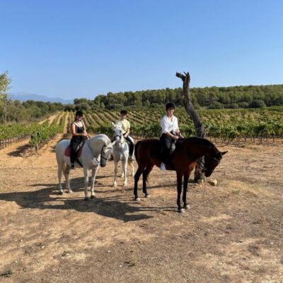 Authentic Horseback Ride in Rural Mallorca