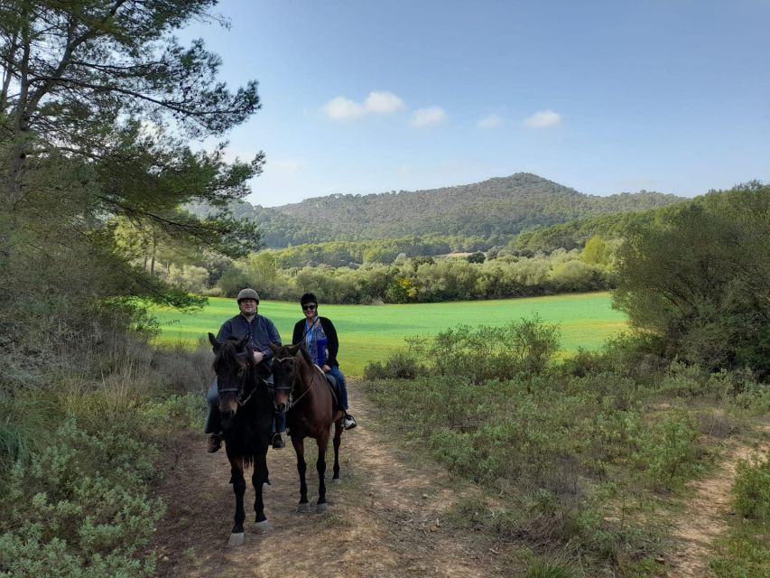 Mallorca: Authentic Horseback Ride in Rural Mallorca - Riding through the Randa Valley