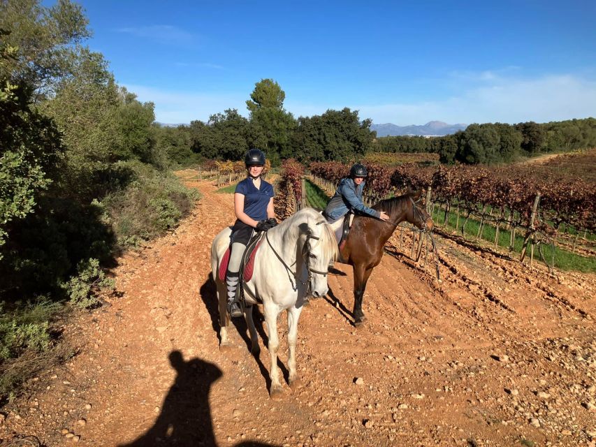Mallorca: Authentic Horseback Ride in Rural Mallorca - The Andalusian horses are part of the attraction