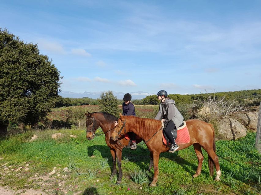 Mallorca: Authentic Horseback Ride in Rural Mallorca - What the four hours really include