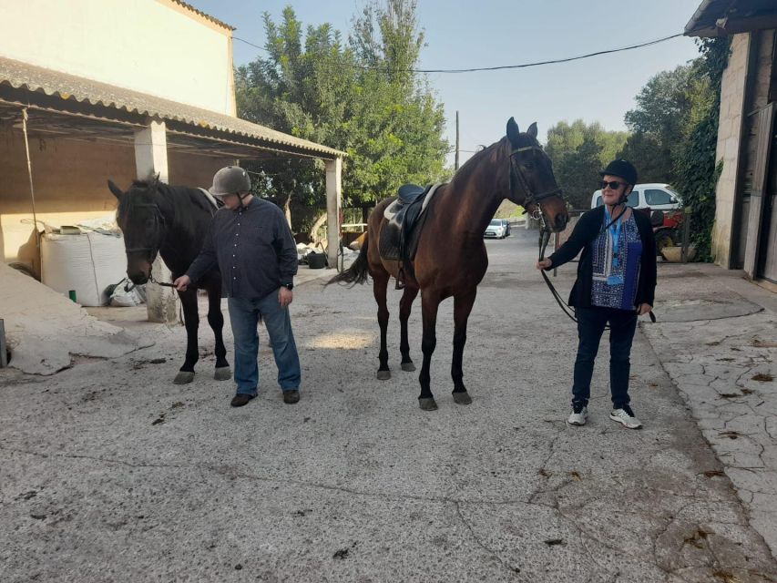 Mallorca: Authentic Horseback Ride in Rural Mallorca - Who should book this Mallorca horseback ride