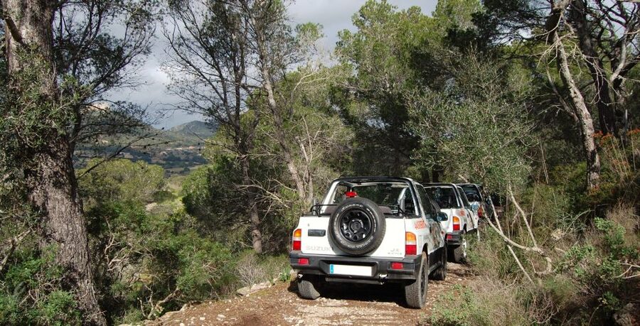 Mallorca: Beach and Mountain 4X4 Tour - Thirty minutes at San Salvador Castle