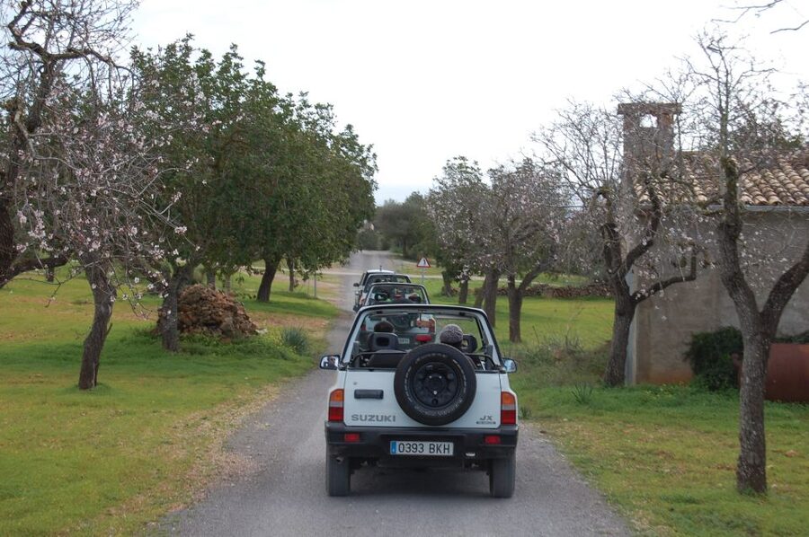 Mallorca: Beach and Mountain 4X4 Tour - Cala Murada and the 30-minute swim