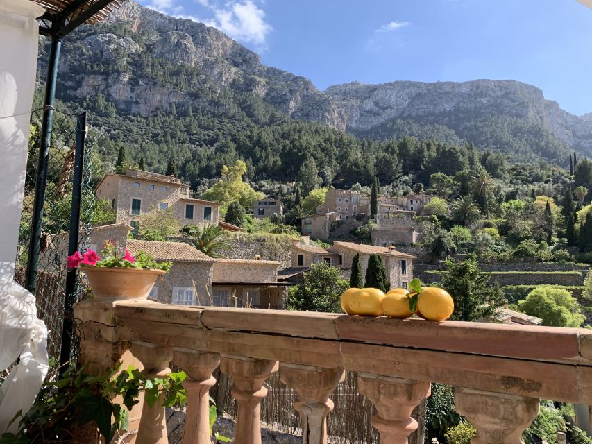 Mallorca Beyond the Guidebooks - Tour with the famous Author - Why this Mallorca day trip feels different