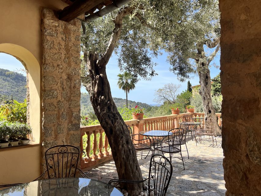 Mallorca Beyond the Guidebooks - Tour with the famous Author - Setting out from Palma and the southern coast