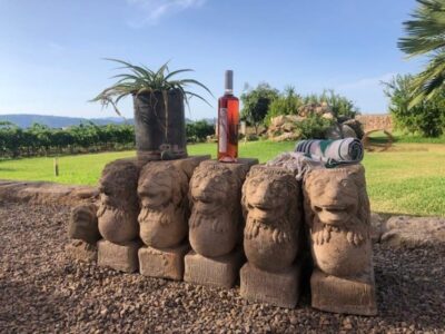 Bodega Butxet Vineyards & Winery Tour with Tasting