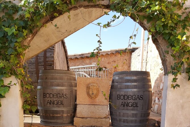 Mallorca Bodega & Olive Minibus Tour incl. Pick-up South Coast - Why this is a good way to meet rural Mallorca