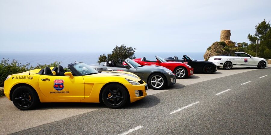 Mallorca: Cabrio Sports Car Tour - Palma’s waterfront and cathedral