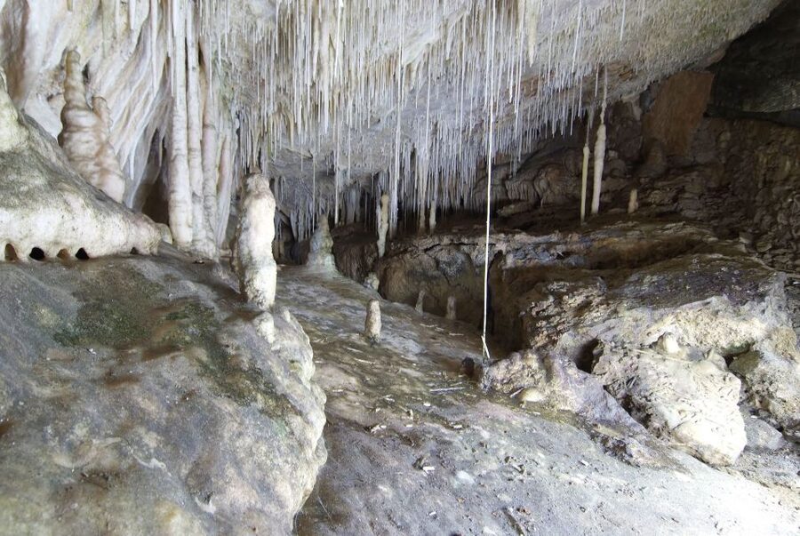 Mallorca: Campanet Caves Entry Ticket - What the stalactites and stalagmites reveal