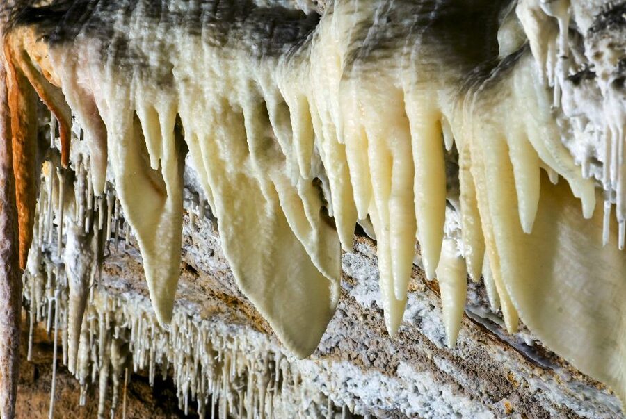 Mallorca: Campanet Caves Entry Ticket - Three chambers and about 40 minutes underground