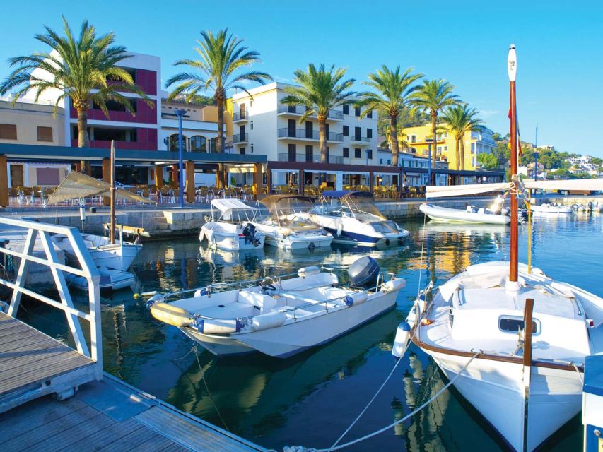 Mallorca: Catamaran Coastal Cruise with Lunch - Why this cruise works well for a Mallorca day