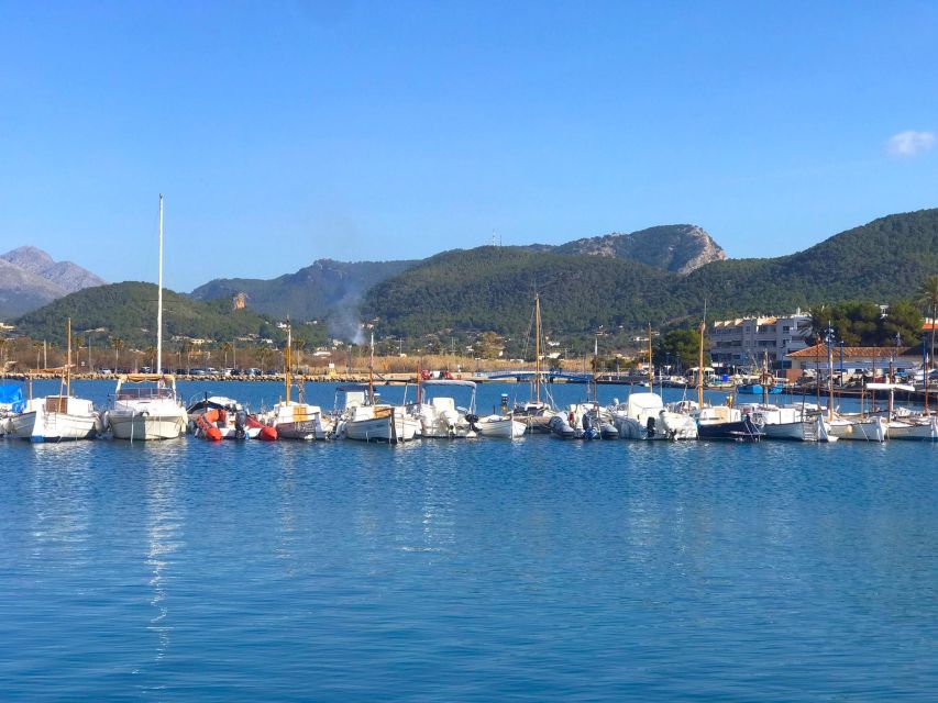 Mallorca: Catamaran Coastal Cruise with Lunch - Cala Egos and the first swim