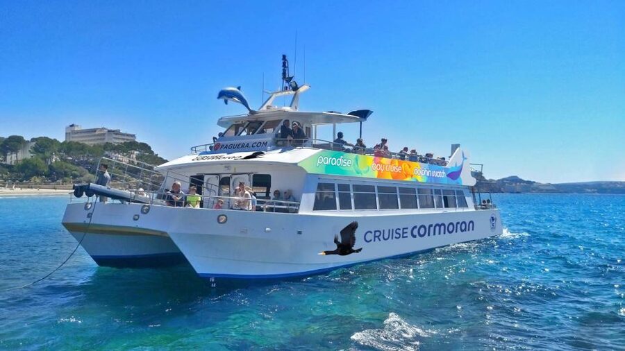 Mallorca: Catamaran Coastal Cruise with Lunch - What the $54 price really covers