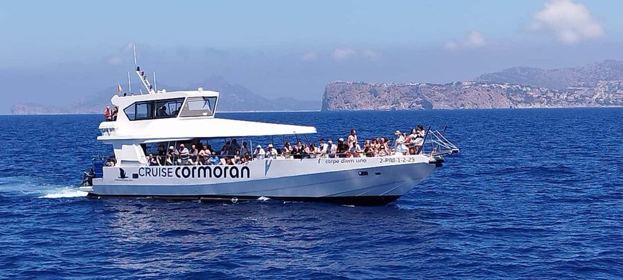 Mallorca: Catamaran Coastal Cruise with Lunch - Comfort, timing, and what to pack