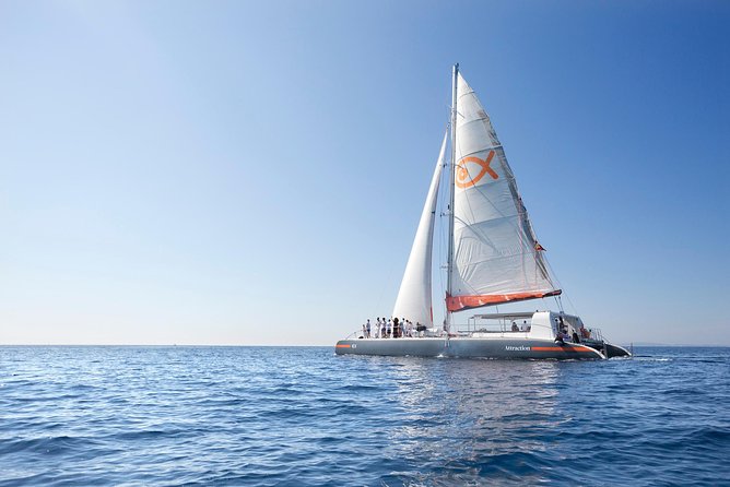 Mallorca Catamaran Cruise and Snorkeling Trip - Palma Bay and the cathedral from the water