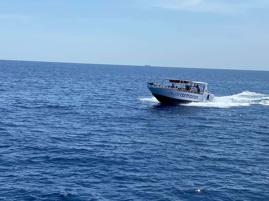 Mallorca: Caves, Cliffs, and Coves Boat Trip - A practical plan for the day
