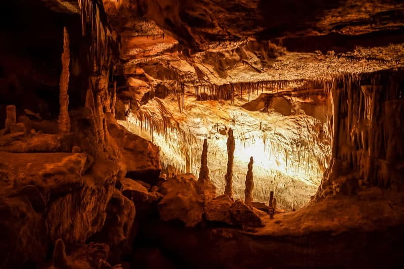 Mallorca: Caves of Drach Tour from the North with Boat Trip - Key points at a glance