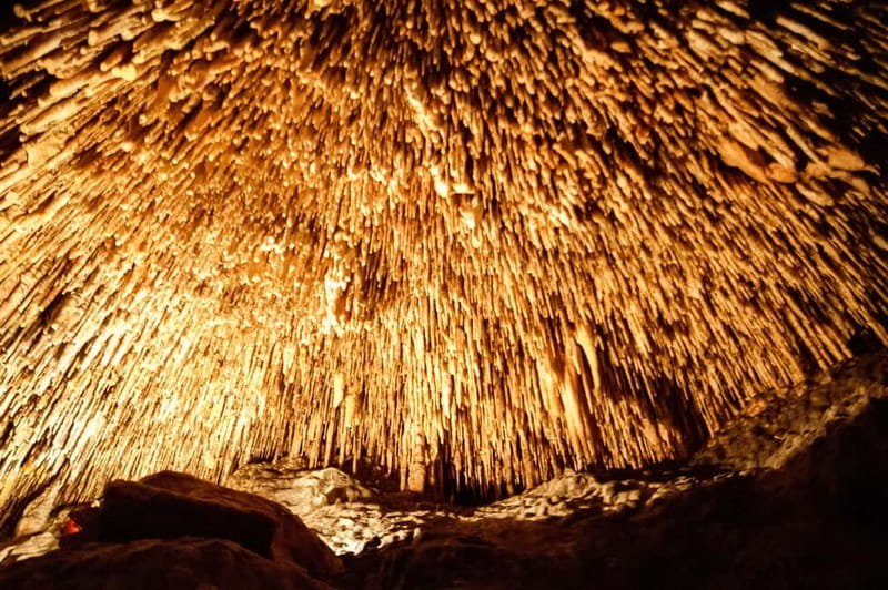 Mallorca: Caves of Drach Tour from the North with Boat Trip - Classical music beside Lake Martel