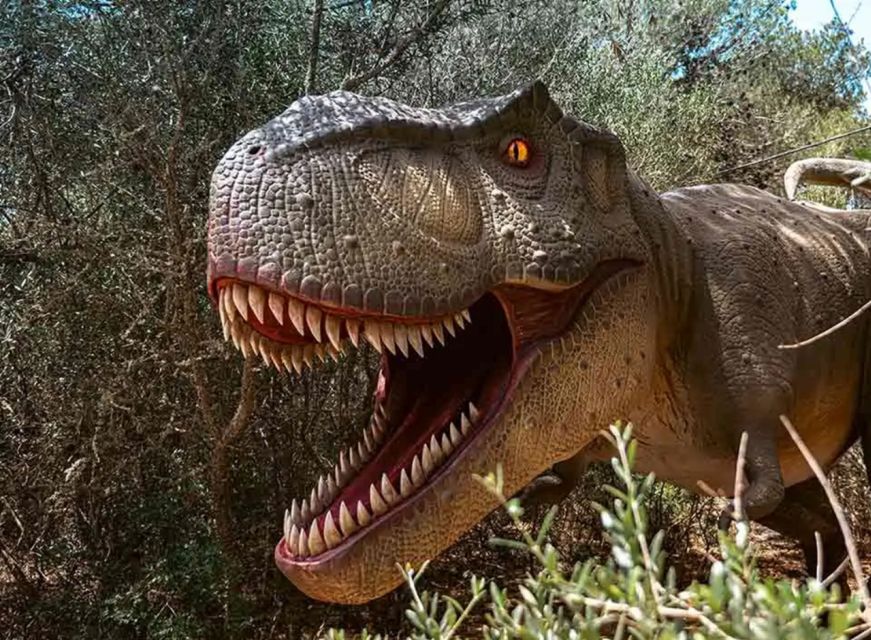 Mallorca: Caves of Hams and Dinosaurland Ticket with Pickup - Why the Caves of Hams make a strong first stop