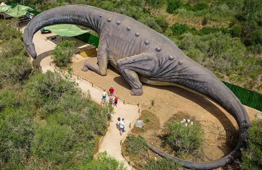 Mallorca: Caves of Hams and Dinosaurland Ticket with Pickup - How the morning pickup works in north and east Mallorca