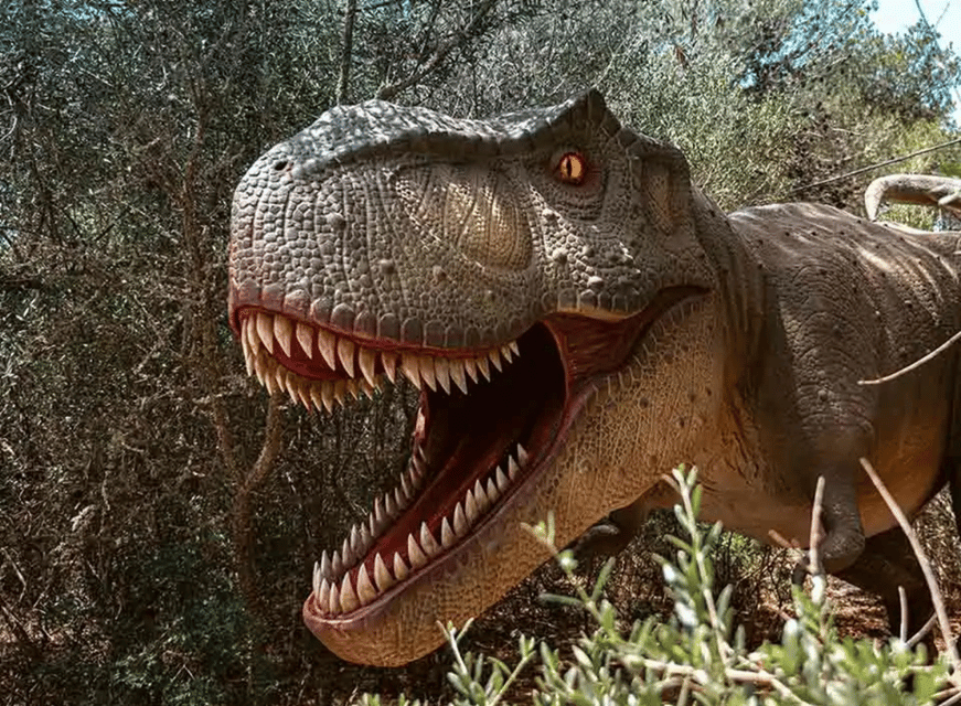 Mallorca: Caves of Hams and Dinosaurland Ticket with Pickup - Is $75 a fair price?