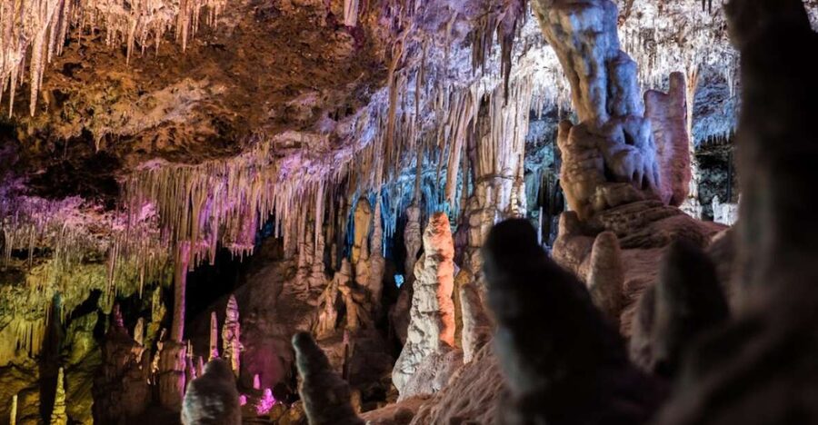Mallorca: Day Trip to Caves of Hams & Optional Dinosaurland - The pearl-factory stop: useful pause or sales detour?